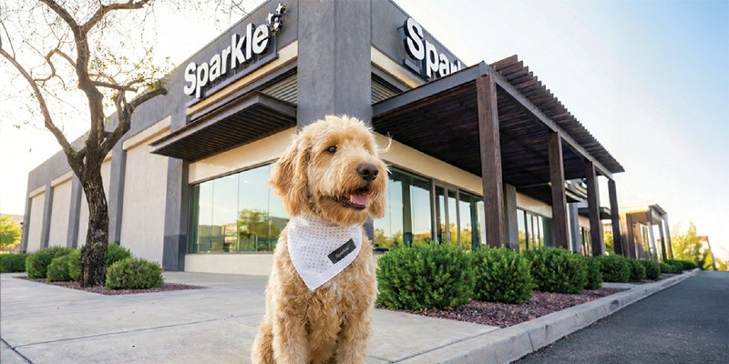 Own a Sparkle Grooming Co. Franchise in Dallas–Fort Worth (DFW)