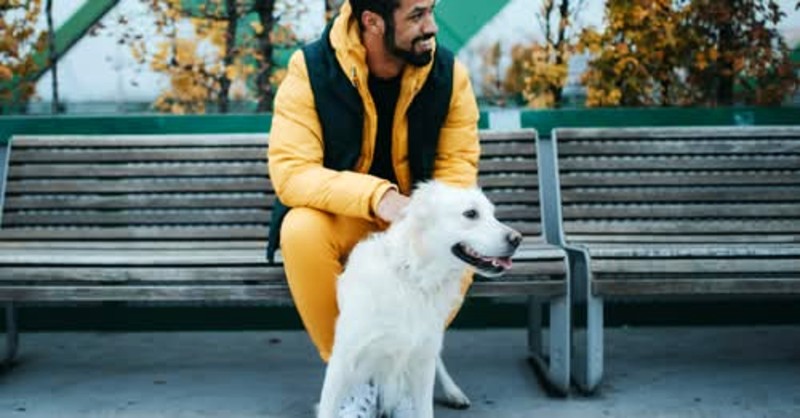 Own a Sparkle Grooming Co. Franchise in Dallas–Fort Worth (DFW)